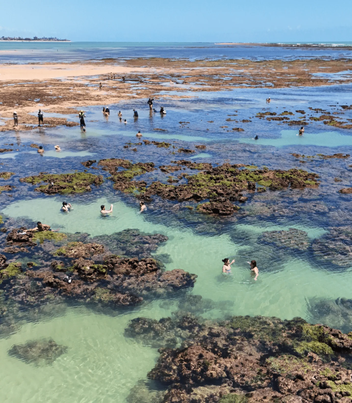 Vista aérea de costão rochoso e piscinas naturais em São Paulo