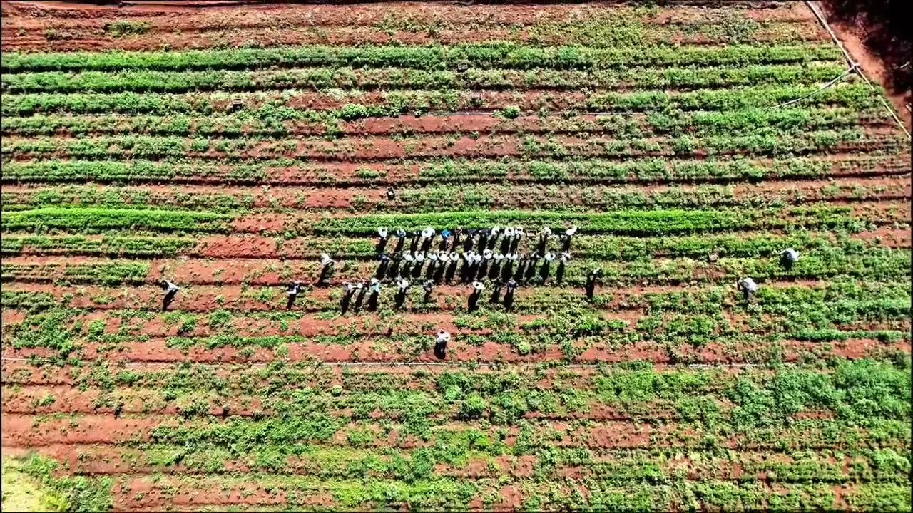 Imagens Rurais — quadro do voo